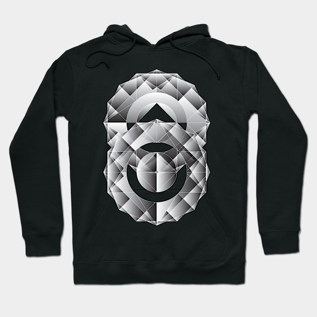 Geometric Perfection Hoodie by ruifaria